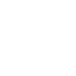 bmw (3)